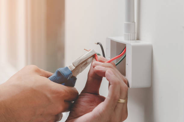 Best Electrical Safety Inspections  in Homer, IL